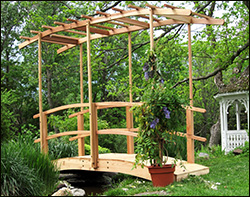 Monet's Red Cedar Bridge w/ Curved Wisteria Canopy