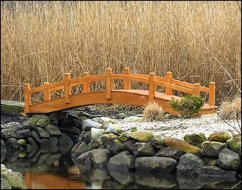 Custom 3 x 12 Single Rail Pedestrian Trail Bridge shown with Continuous Arch, Cedar Stain/Sealer, and 1 Extra Beam.