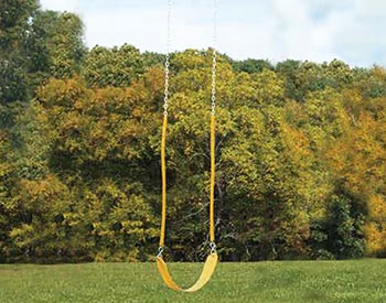 Yellow Swing Shown.
