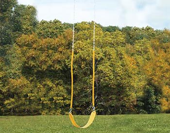 Yellow Swing Shown.