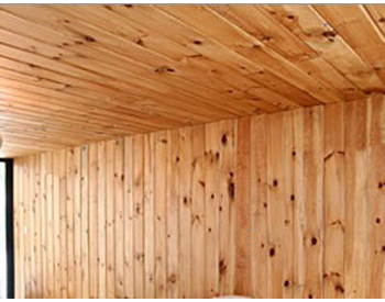 Pine Paneled Ceiling