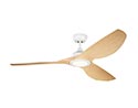 65" Resolute Outdoor LED Ceiling Fan