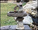 Concrete Tranquil Waters Bird Bath