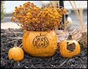 Concrete Stone Thanksgiving Pumpkin Planter (Set of 3)