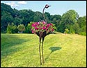 Ostrich Garden Decoration & Planter