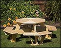 Treated Pine Kid's Octagon Picnic Table