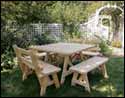 Treated Pine Wide Picnic Table w/ 2 Backed Benches and 2 Backless Benches