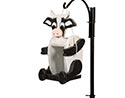 Treated Pine Cow Birdfeeder