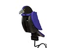 Treated Pine Raven Birdhouse