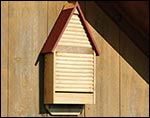 Cypress Bat House