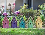 Cypress Vivid Bluebird House