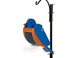 Treated Pine Bluebird Birdfeeder