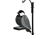 Treated Pine Chickadee Birdfeeder