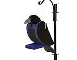 Treated Pine Raven Birdfeeder