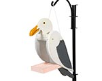 Treated Pine Seagull Birdfeeder