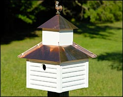 Rise and Shine Birdhouse