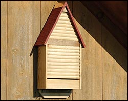 Cypress Bat House