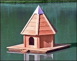 Cypress Duck House