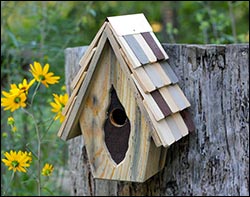 Antique Wren Birdhouse