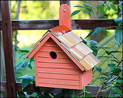 Cypress Hyannis Bird House