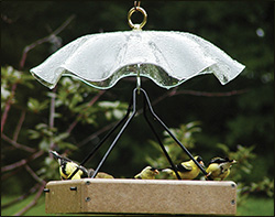 Poly Lumber Hanging Tray Birdfeeder w/ Weatherguard