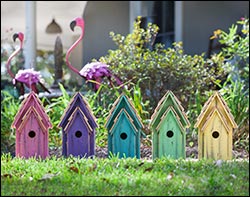 Cypress Vivid Bluebird House