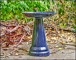 Ceramic Classic Birdbath