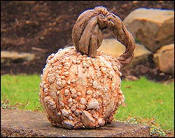 Concrete Warty Pumpkin