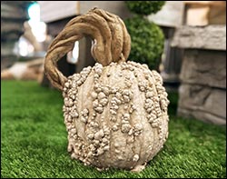 Concrete Warty Pumpkin