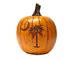 Concrete South Carolina Pumpkin