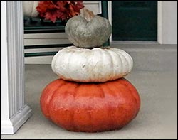Concrete Stackable Pumpkins (Set of 3)