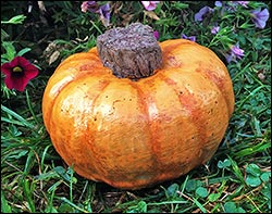 Concrete Willowbrook Mini Pumpkin
