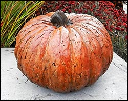 Concrete Giant Textured Pumpkin