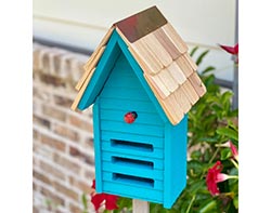 Cypress Lady Bug House