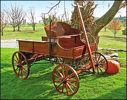 Deluxe Buckboard Wagon