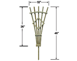 Treated Pine 3' Rose Trellis