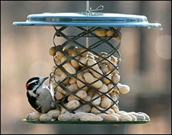 Magnet Mesh Peanut Birdfeeder