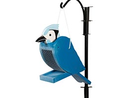 Treated Pine Blue Jay Birdfeeder