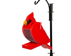 Treated Pine Cardinal Birdfeeder