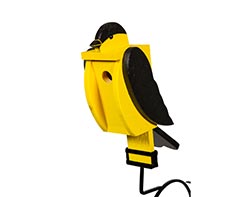 Treated Pine Gold Finch Birdhouse