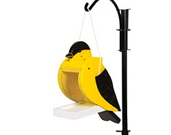 Treated Pine Gold Finch Birdfeeder
