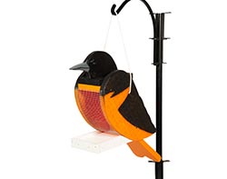 Treated Pine Oriole Birdfeeder