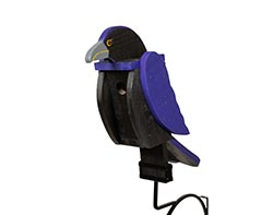 Treated Pine Raven Birdhouse