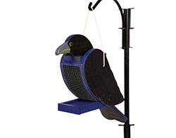 Treated Pine Raven Birdfeeder