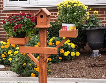 Eastern Red Cedar Birdhouse Planter