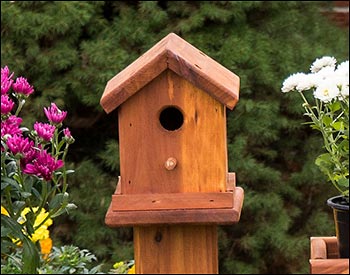 Eastern Red Cedar Birdhouse Planter