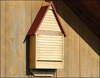 Cypress Bat House