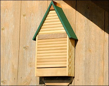 Cypress Bat House