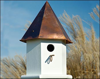 Passerine Deluxe Birdhouse