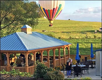 Treated Pine Single Roof Rectangle Gazebos